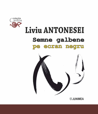 Semne galbene pe ecran negru