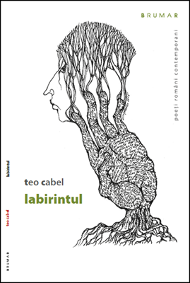 Labirintul
