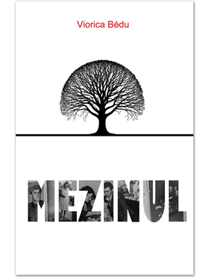 Mezinul